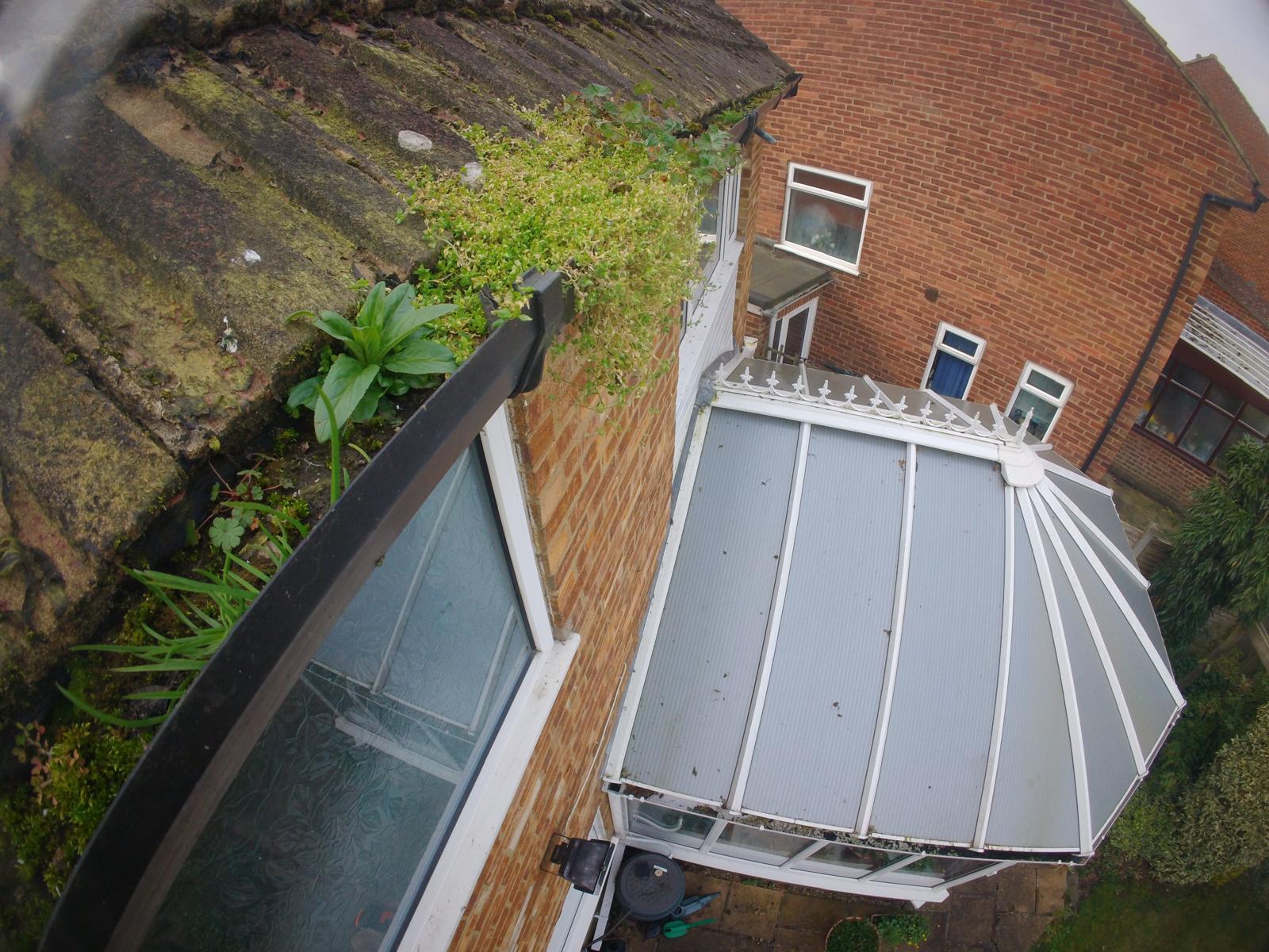 Conservatory Roof Clean — Luton — before gutter clearing by Gutter Pro