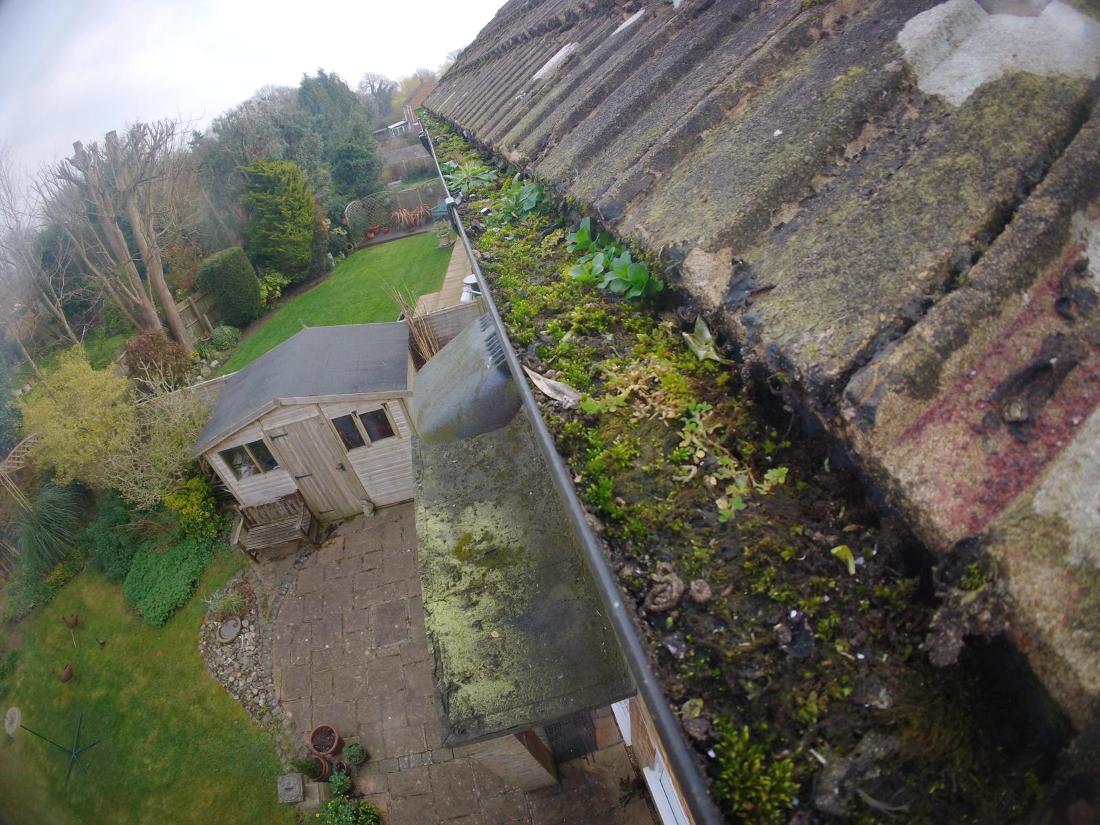 Heavily blocked gutter overflowing with moss, leaves and plant growth on a residential property