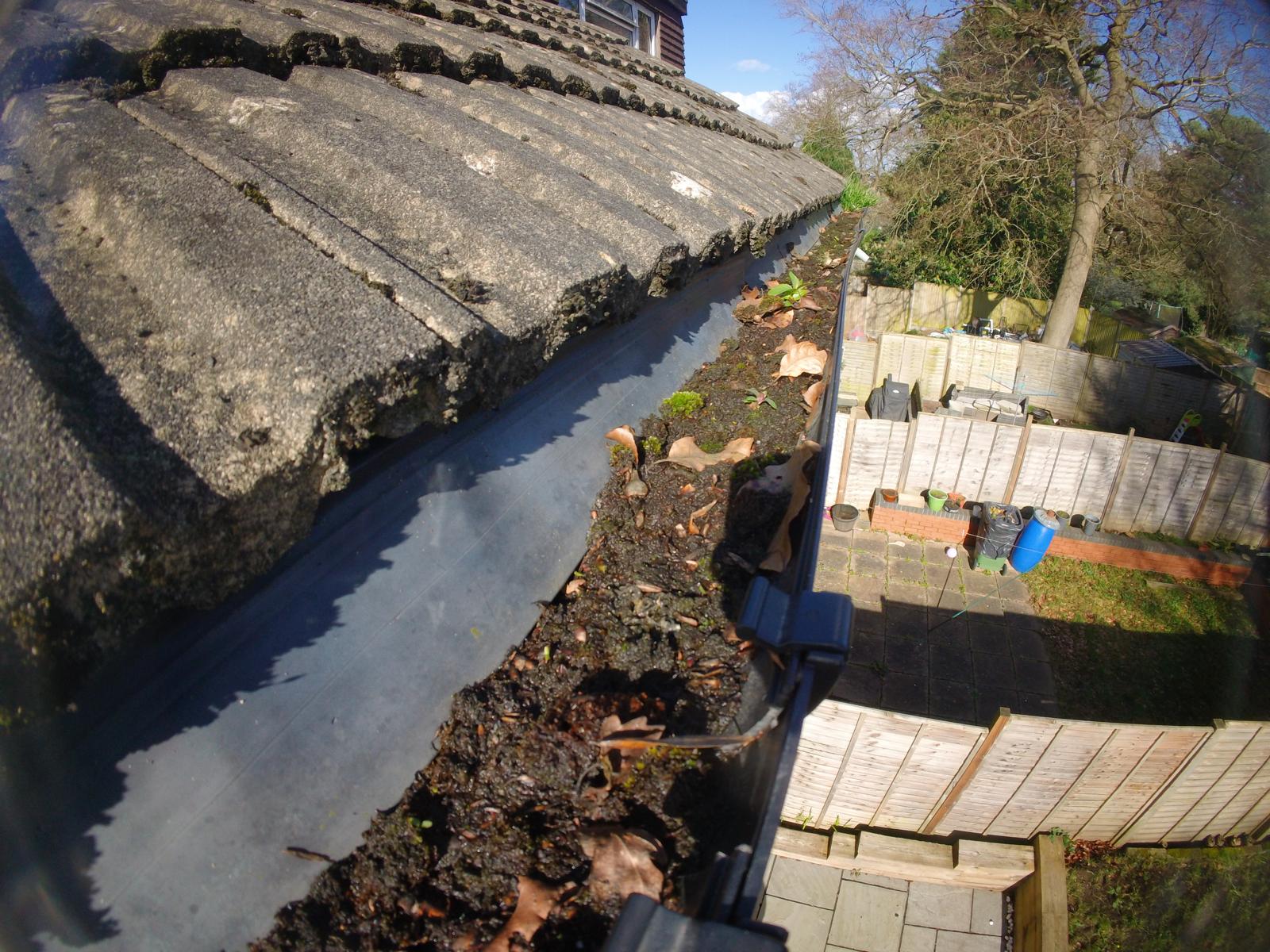 Gutter clogged with leaves and debris on a residential property requiring clearing