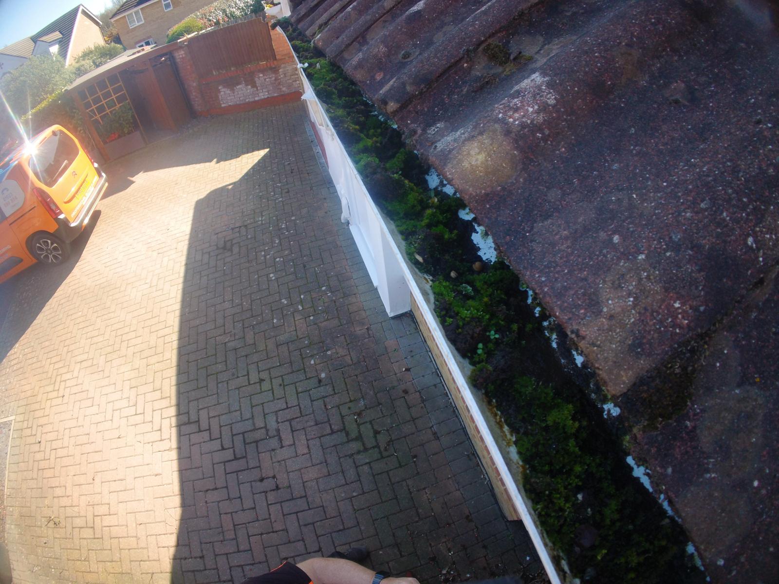 Moss-filled gutter on residential roofline with Gutter Pro van on driveway